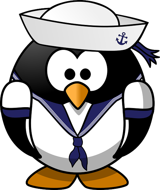 Le metier de skippeur